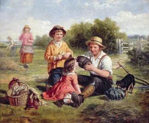 Heuwiese
