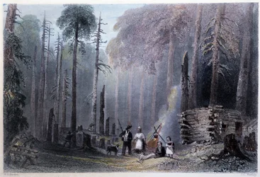 Erste Siedlerinstallation - in "Canadian scenery illustrated" von W.H. Bartlett, London