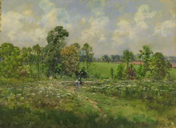 Blumenwiese