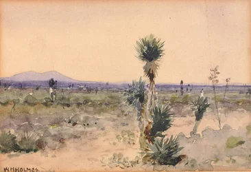 Yuccaland--Chihuahua, Mexiko, n.d.