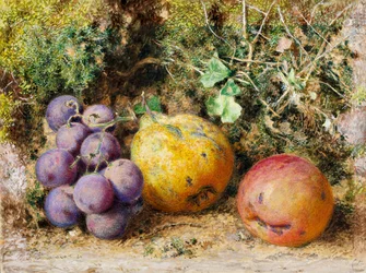 Schwarze Trauben, Quitte und Newtown Pippin, 1861