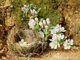 Zweig mit Apfelblüten und Vogelnest