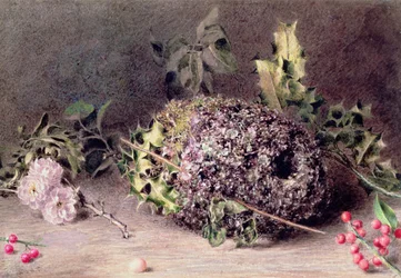 Nest von Schwanzmeisen