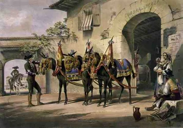 Die Maultiere der Plaza de Toros