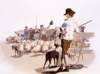 Hirten von Schafen und Rindern, aus The Costumes of Great Britain, veröffentlicht von Henry Miller, 1805
