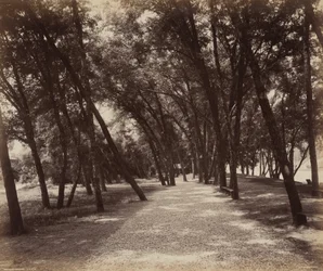 Picknickplätze, ca. 1895