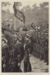 Die große Freiwilligenparade in Windsor, Marineartilleriefreiwillige marschieren an der Königin vorbei