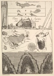 Fodina argentea Sahlensis - Eine Silbermine in Sala - I aus Aubry de La Mottrayes Reise