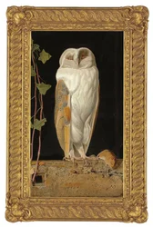 Die weiße Eule, 1856