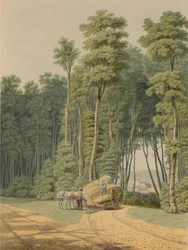 Sommer--Ein Verkehrsunfall. Ein Blick durch eine Öffnung des Urwaldes... 1841