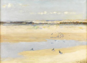 Kiebitze am Meer