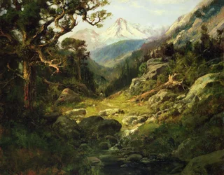 Landschaft mit Mount Shasta