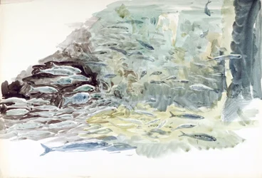Unterwasseransicht eines Fischschwarms