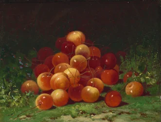 Haufen von Kirschen