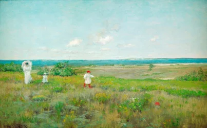 Nahe dem Strand, Shinnecock