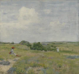 Shinnecock Hills