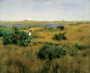 Sommer in Shinnecock Hills