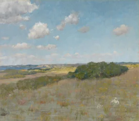 Sonnenlicht und Schatten, Shinnecock Hills
