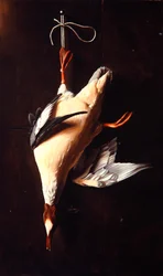 Gänsesäger