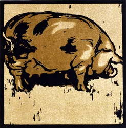 Das gelehrte Schwein, aus 