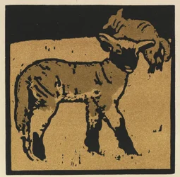 Das quadratische Buch der Tiere: Das sehr zahme Lamm