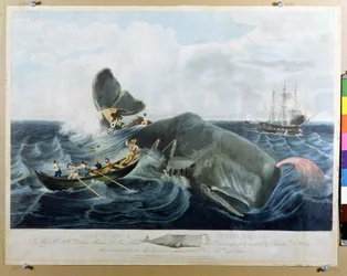 Das Einfangen eines Pottwals, graviert von J. Hill, veröffentlicht 1835