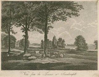 Blick von der Terrasse von Strawberry Hill, London