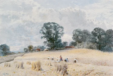Die Ernte