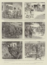 Eine königliche Tigerjagd oder die perfekte Anordnung