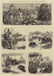 Skizzen aus Indien, Schweinejagd in der Bombay-Präsidentschaft