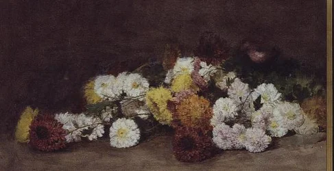Chrysanthemen