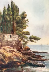 Capo Lungo, Nervi