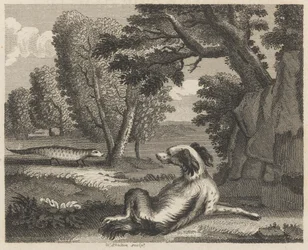 Der Spaniel und das Chamäleon