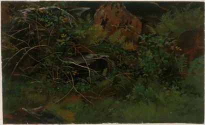 Naturstudie