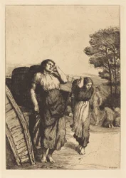 Kartoffelernte