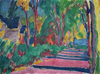 Bewaldete Straße