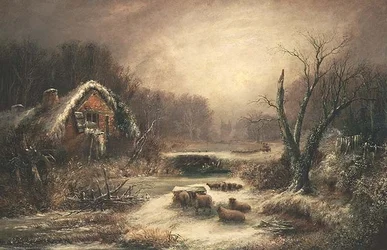 Eine bewaldete Winterlandschaft