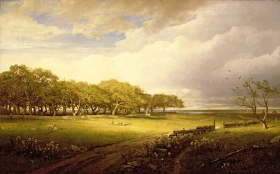 Alter Obstgarten in Newport