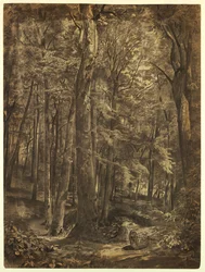 Studie für "Juniwälder"