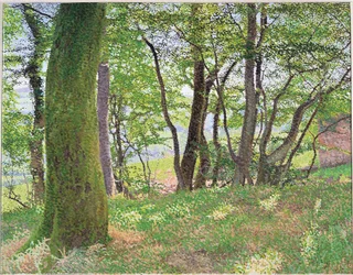 Carmarthenshire Nachmittag