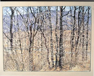 Kittatiny Berge, Morgen