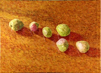 Stillleben, schwarze Worcester-Birnen, 2013