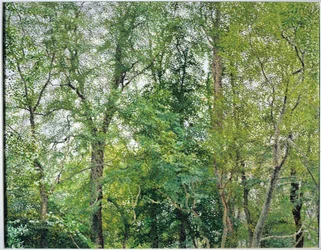 Die Jubiläumspflanzung