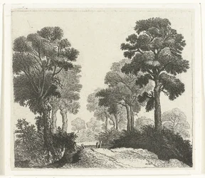 Landschaft mit Bäumen entlang eines Pfades