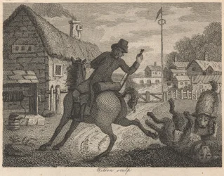 Der Köter, das Pferd und der Schäferhund