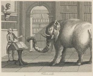 Der Elefant und der Buchhändler