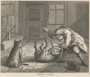 Der Rattenfänger und Katzen