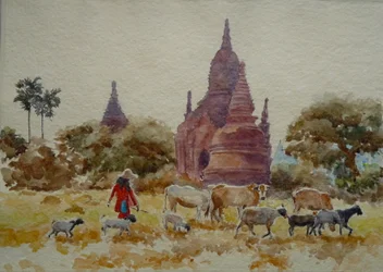 901 Bagan, Herden zwischen den Tempeln