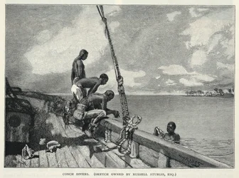 Ein Hurrikan, Hanfanbau, auf Abaco Island, eine Blumenverkäuferin, Conch-Taucher, aus The Century Magazine, Februar 1887