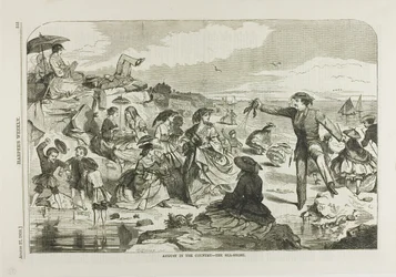 August auf dem Land - Die Küste